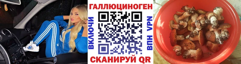 Галлюциногенные грибы Magic Shrooms  сколько стоит  KRAKEN ONION  Туран 